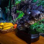 Xhale Azores Angra do Heroísmo