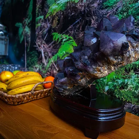 Xhale Azores Angra do Heroísmo